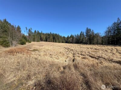 0 NKA Deer Park Road , Port Angeles, WA 98362 - Photo 28