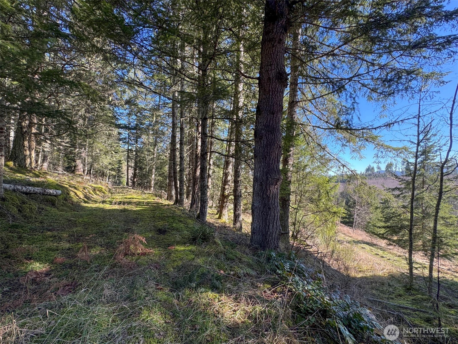 0 NKA Deer Park Road , Port Angeles, WA 98362