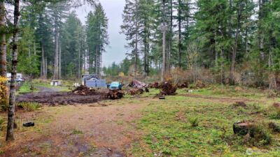 151 W Buck Prairie Rd , Elma, WA 98541 - Photo 13
