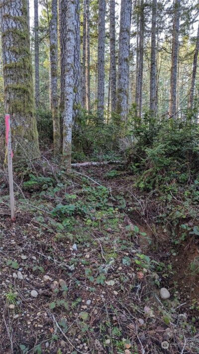 0 Lackey Road NW, Vaughn, WA 98394 - Photo 15