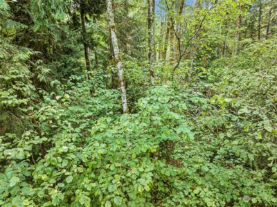 0 Lackey Road NW, Vaughn, WA 98394 - Photo 16