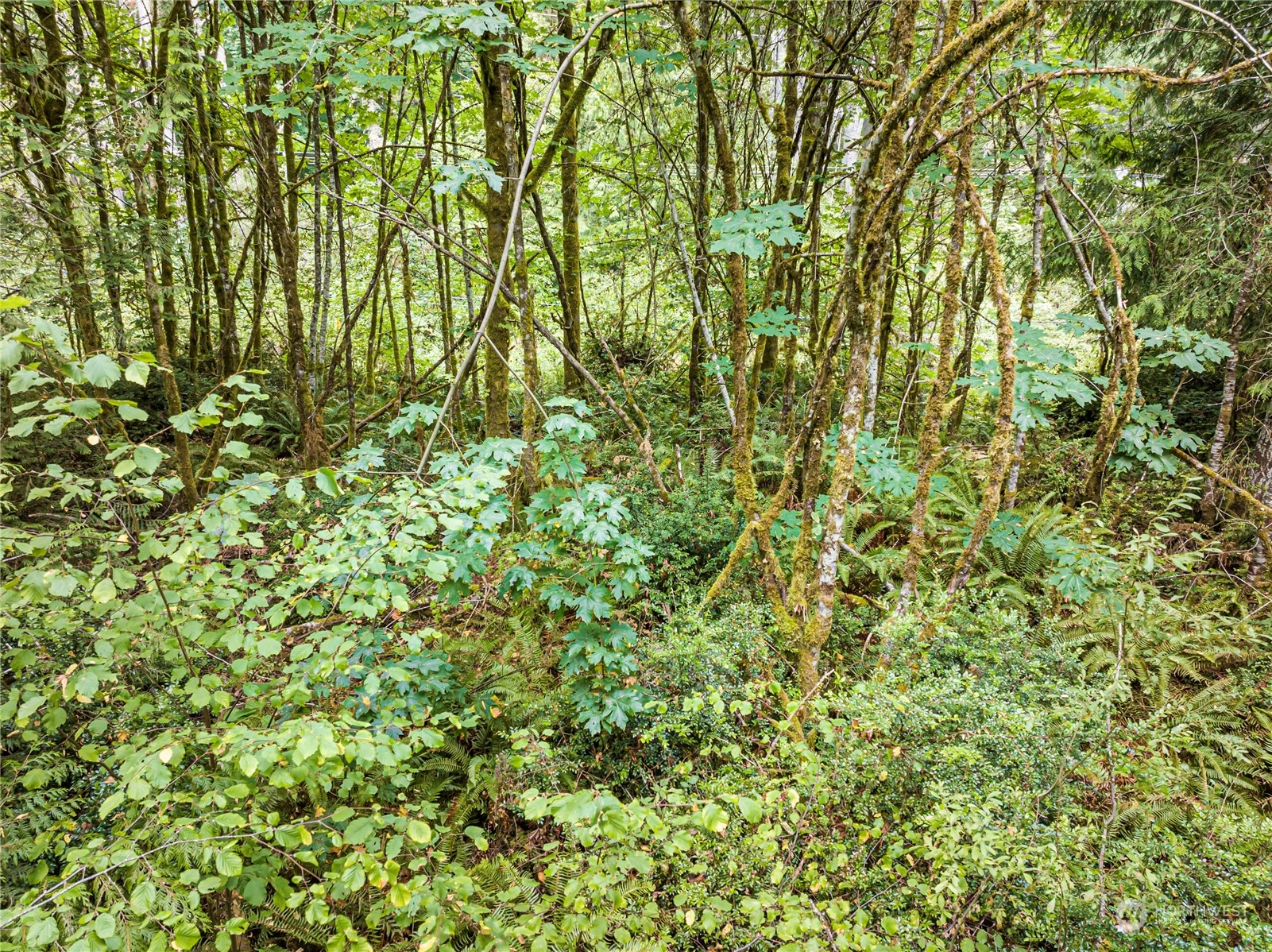 0 Lackey Road NW, Vaughn, WA 98394