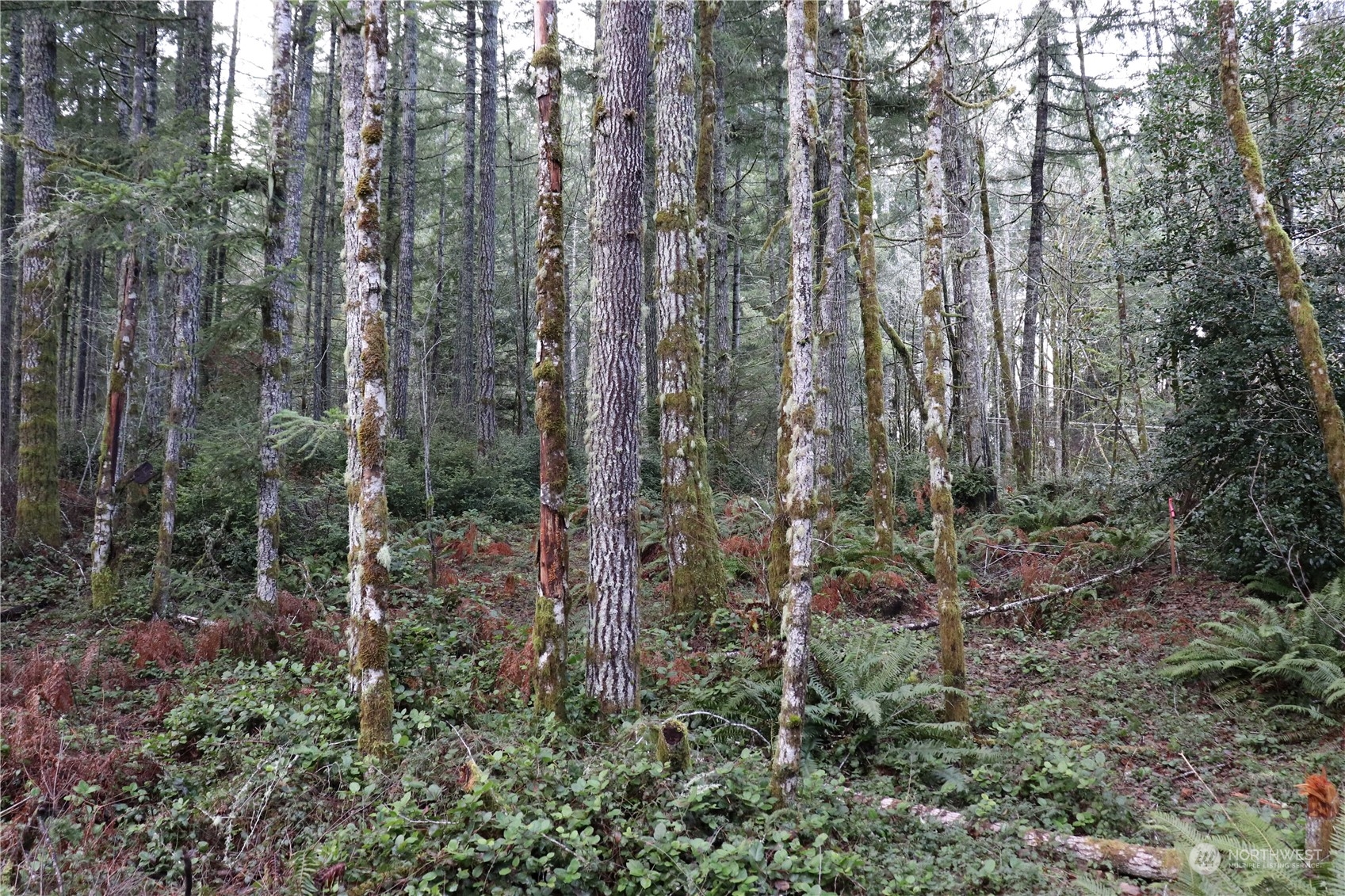 0 Lackey Road NW, Vaughn, WA 98394