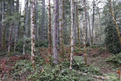 0 Lackey Road NW, Vaughn, WA 98394 - Photo 19