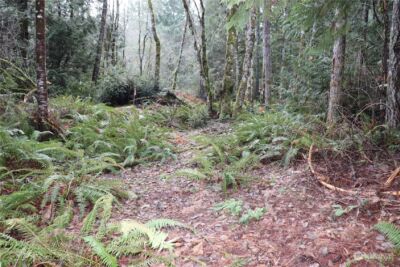 0 Lackey Road NW, Vaughn, WA 98394 - Photo 2