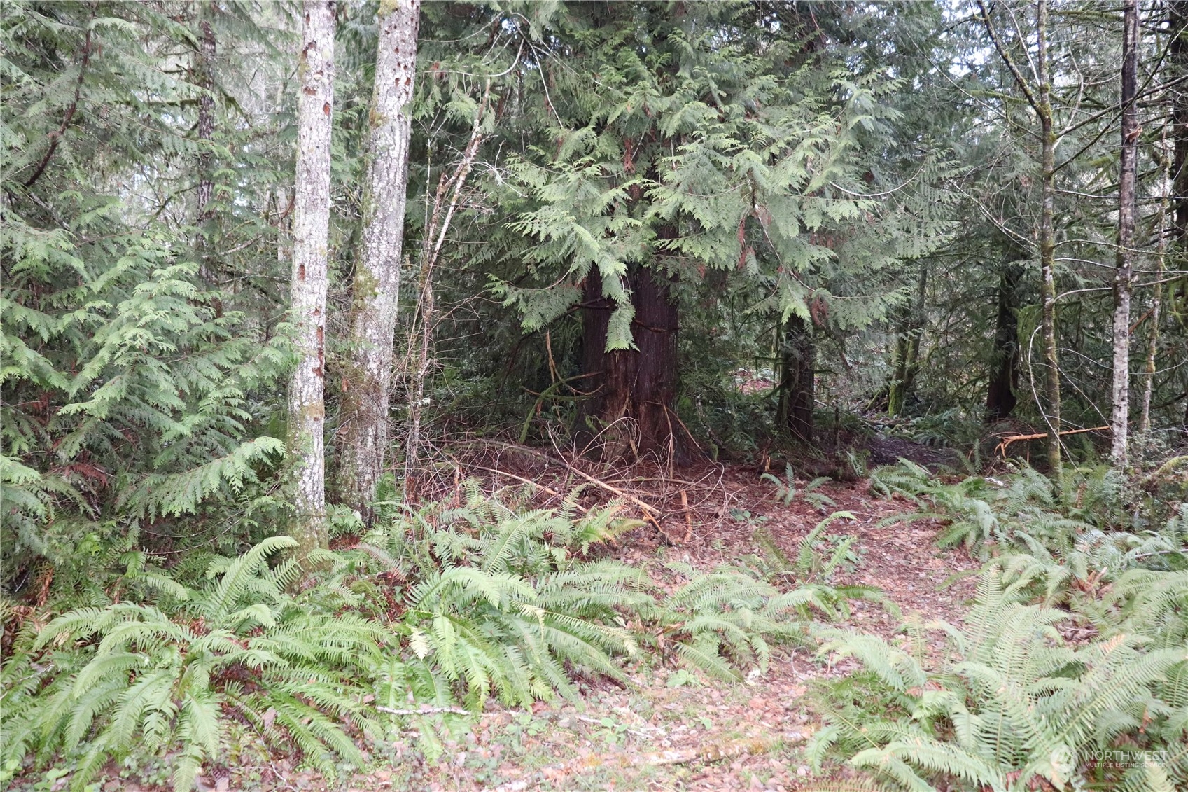 0 Lackey Road NW, Vaughn, WA 98394