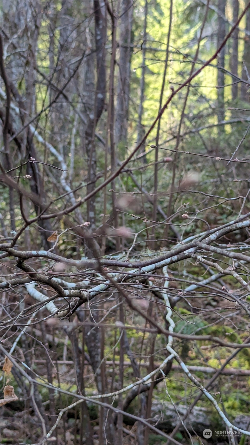 0 Lackey Road NW, Vaughn, WA 98394