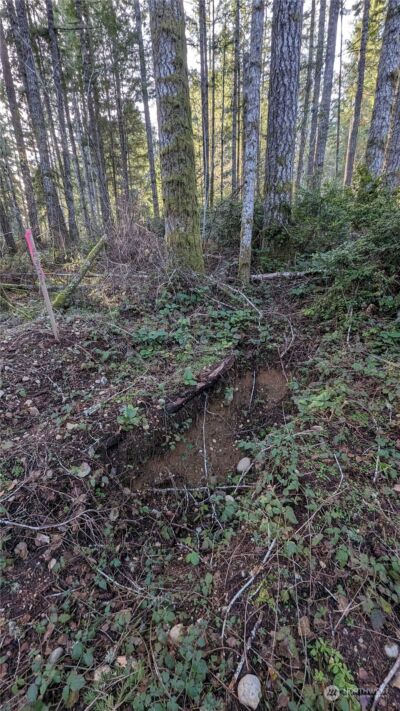 0 Lackey Road NW, Vaughn, WA 98394 - Photo 23