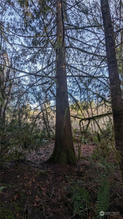 0 Lackey Road NW, Vaughn, WA 98394 - Photo 24