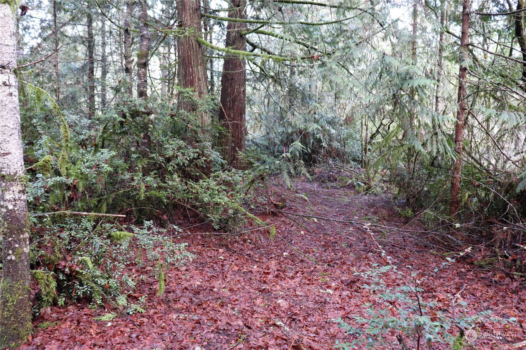 0 Lackey Road NW, Vaughn, WA 98394