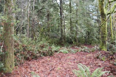 0 Lackey Road NW, Vaughn, WA 98394 - Photo 5