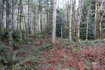 0 Lackey Road NW, Vaughn, WA 98394 - Photo 7