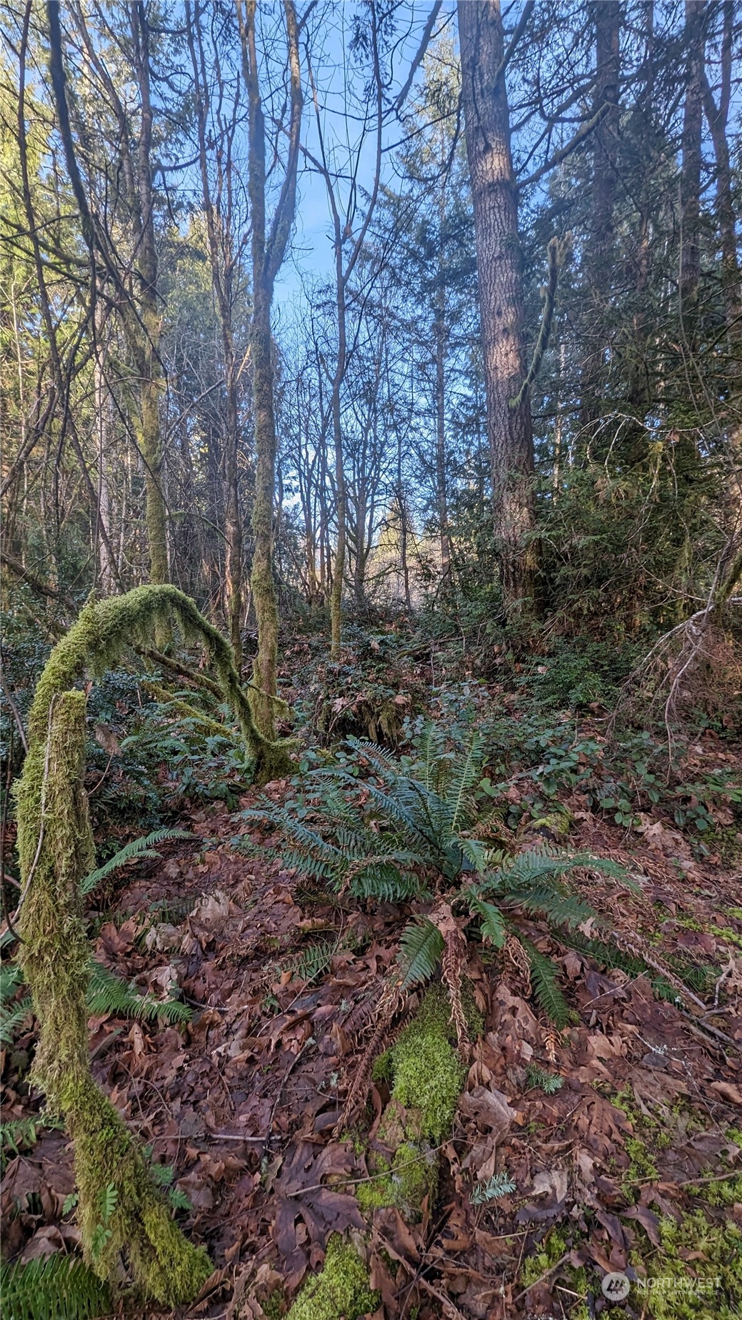 0 Lackey Road NW, Vaughn, WA 98394