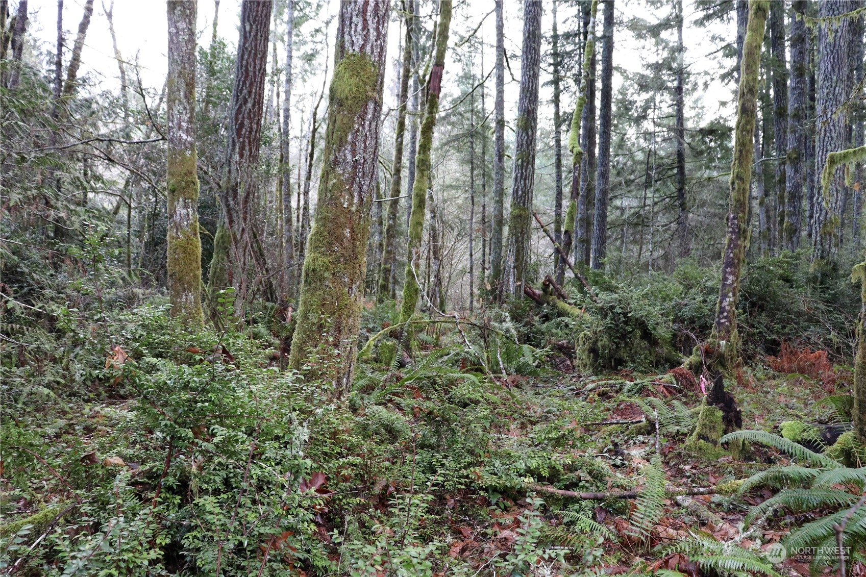 0 Lackey Road NW, Vaughn, WA 98394