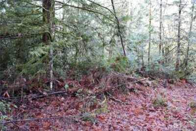 0 Lackey Road NW, Vaughn, WA 98394 - Photo 10