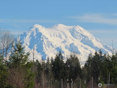 2906 357th Street E, Eatonville, WA 98328 - Photo 1