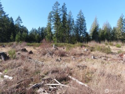 2906 357th Street E, Eatonville, WA 98328 - Photo 11