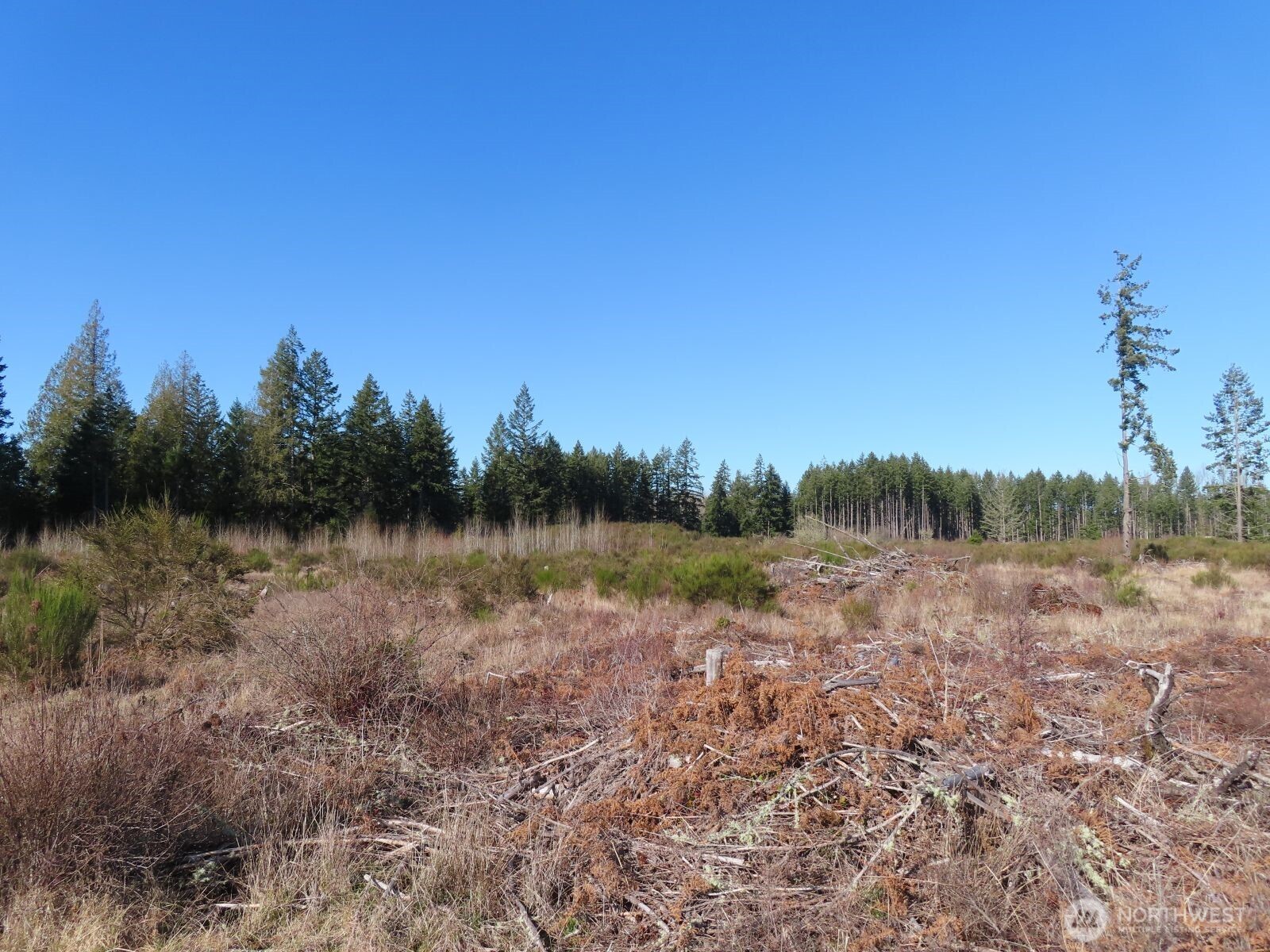 2906 357th Street E, Eatonville, WA 98328