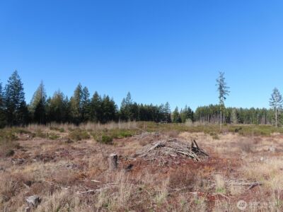 2906 357th Street E, Eatonville, WA 98328 - Photo 13