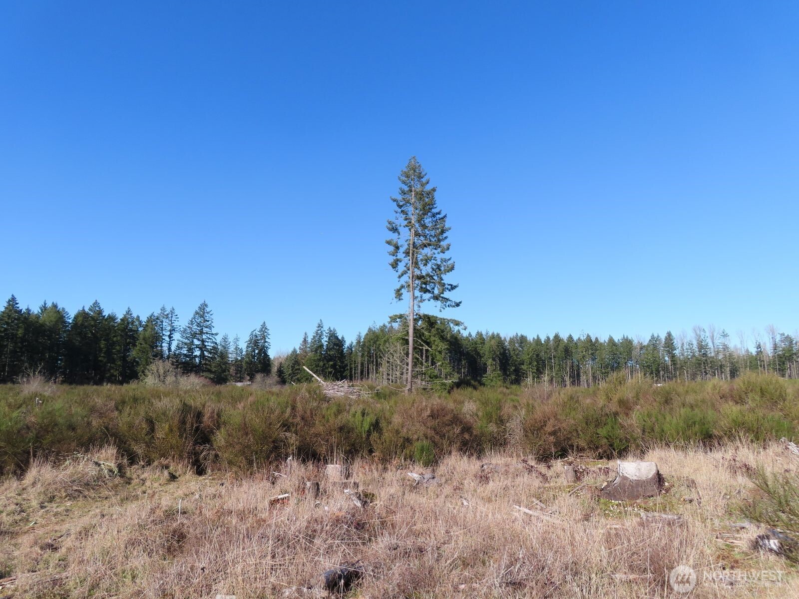 2906 357th Street E, Eatonville, WA 98328