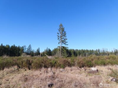 2906 357th Street E, Eatonville, WA 98328 - Photo 15