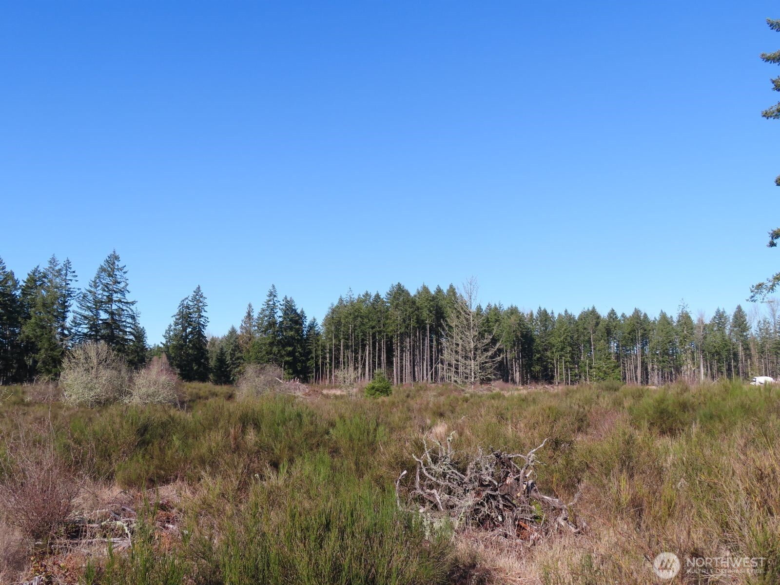 2906 357th Street E, Eatonville, WA 98328