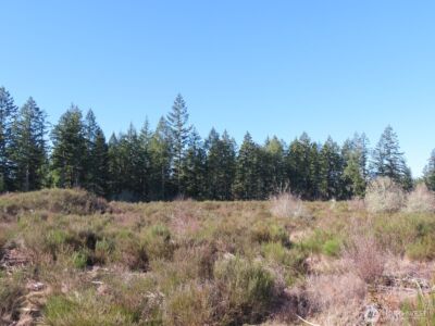 2906 357th Street E, Eatonville, WA 98328 - Photo 17