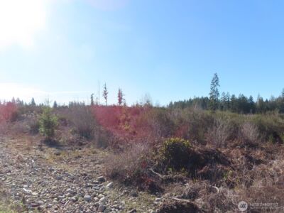 2906 357th Street E, Eatonville, WA 98328 - Photo 19