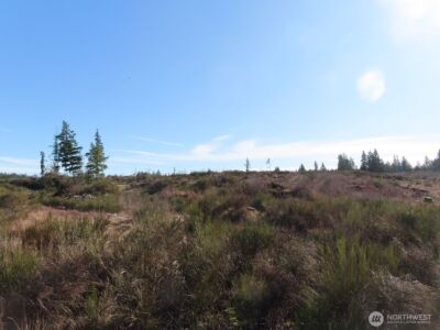 2906 357th Street E, Eatonville, WA 98328 - Photo 20