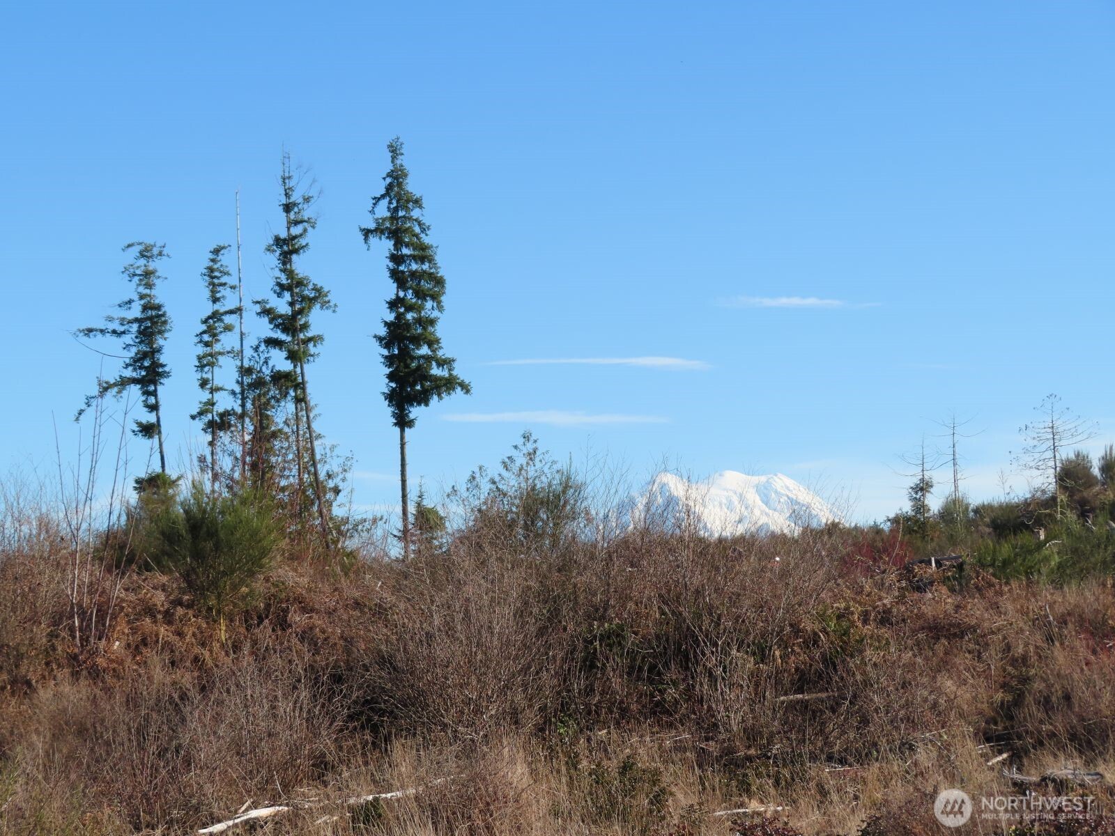 2906 357th Street E, Eatonville, WA 98328