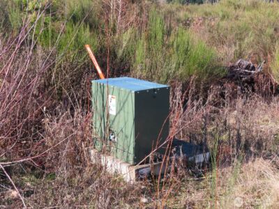 2906 357th Street E, Eatonville, WA 98328 - Photo 22