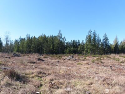 2906 357th Street E, Eatonville, WA 98328 - Photo 4