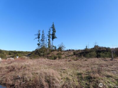 2906 357th Street E, Eatonville, WA 98328 - Photo 5