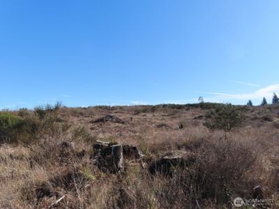 2906 357th Street E, Eatonville, WA 98328 - Photo 6