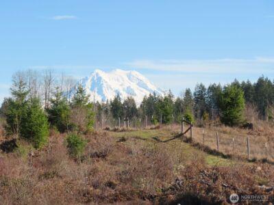 2906 357th Street E, Eatonville, WA 98328 - Photo 7