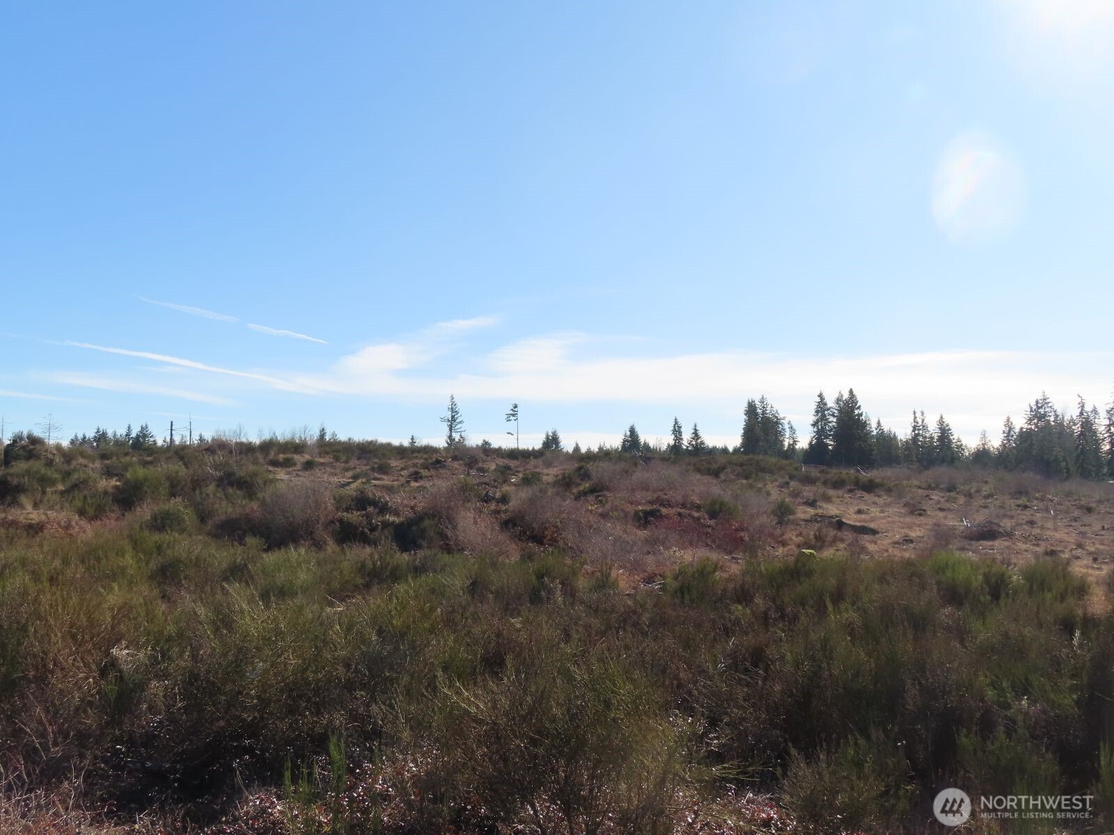 2906 357th Street E, Eatonville, WA 98328