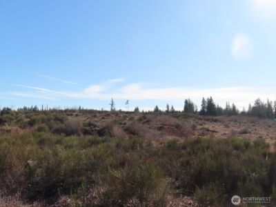 2906 357th Street E, Eatonville, WA 98328 - Photo 8