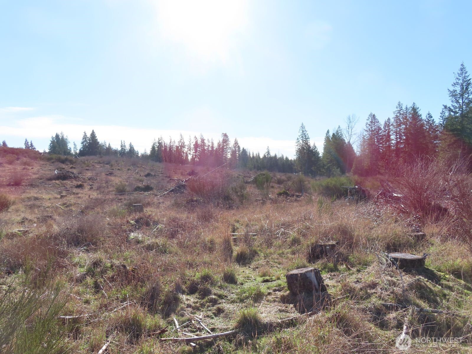 2906 357th Street E, Eatonville, WA 98328