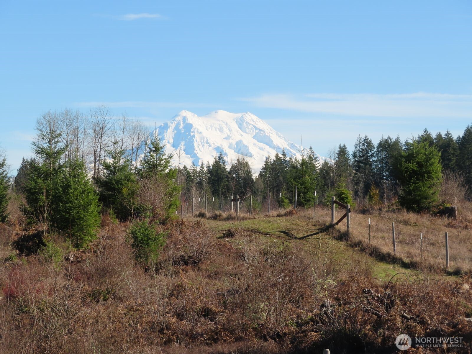 2906 357th Street E, Eatonville, WA 98328