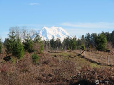 2906 357th Street E, Eatonville, WA 98328 - Photo 10