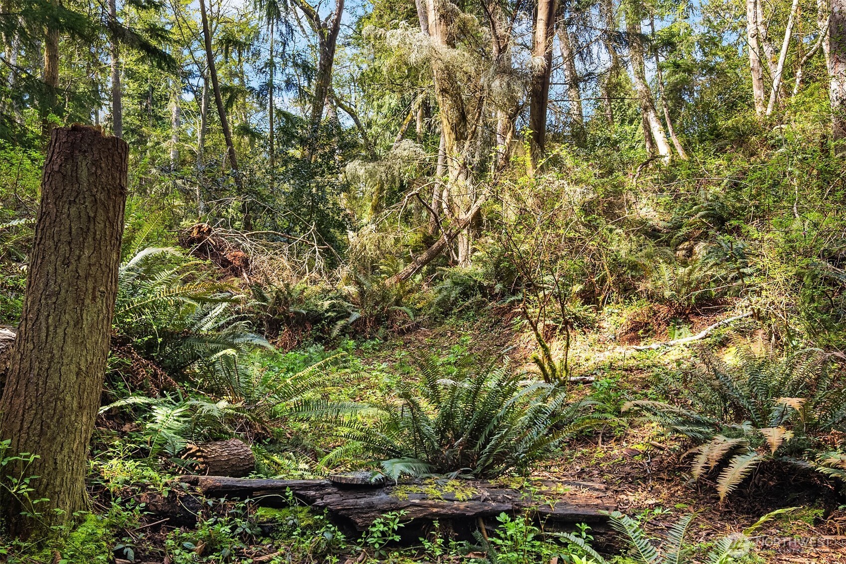 8042 Island Court , Clinton, WA 98236