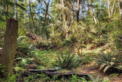 8042 Island Court , Clinton, WA 98236