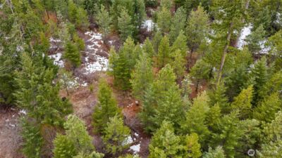 4613 Swiftwater Drive , Cle Elum, WA 98922 - Photo 9