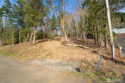 0 XX Midway Lane E, Shelton, WA 98584 - Photo 3