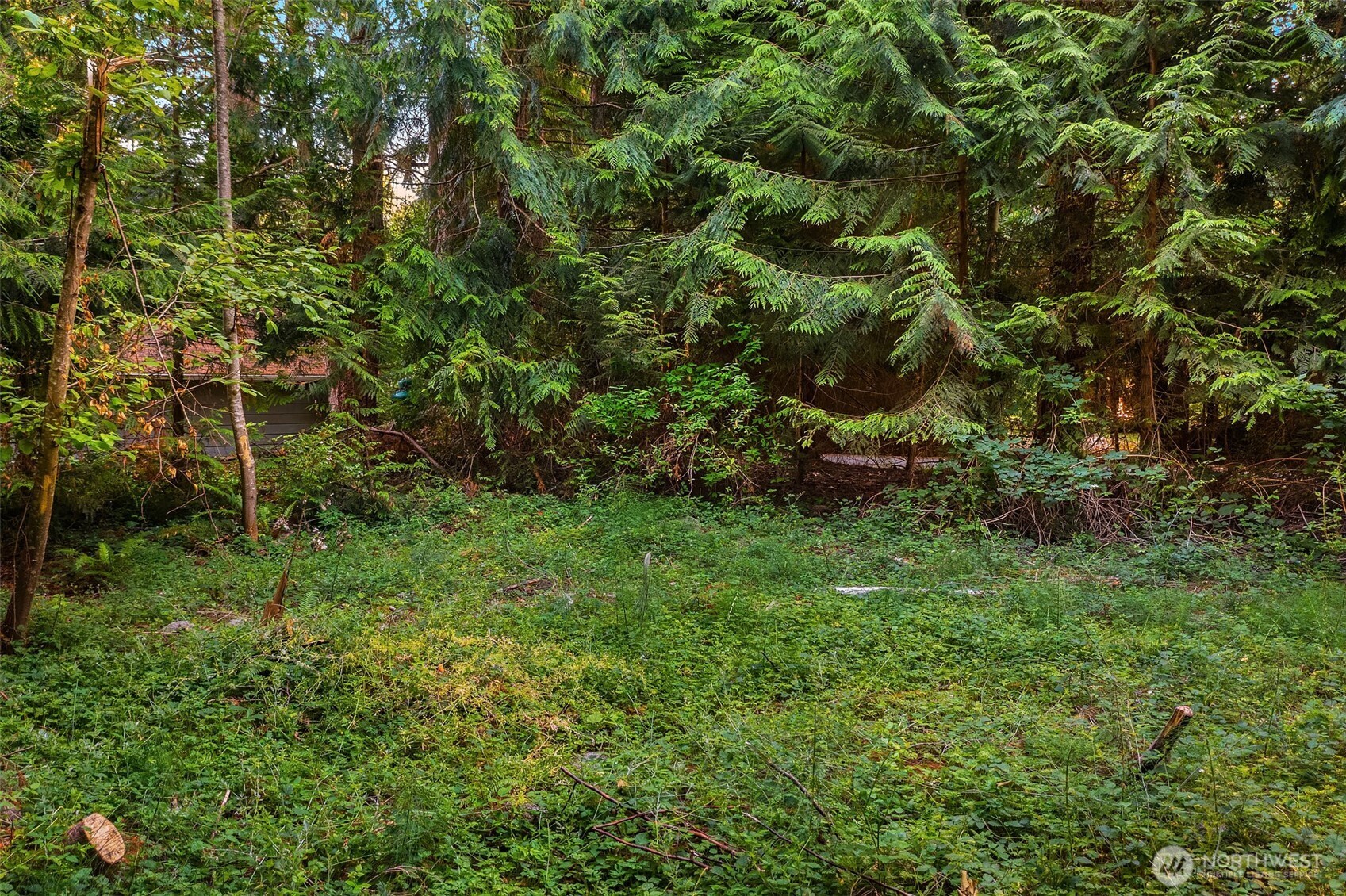 107 133rd Street SW, Vashon, WA 98070