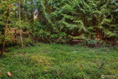 107 133rd Street SW, Vashon, WA 98070 - Photo 3