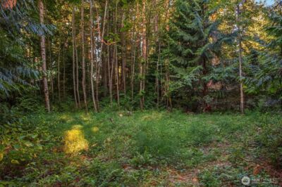 107 133rd Street SW, Vashon, WA 98070 - Photo 5