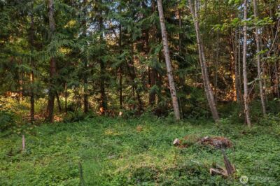 107 133rd Street SW, Vashon, WA 98070 - Photo 6