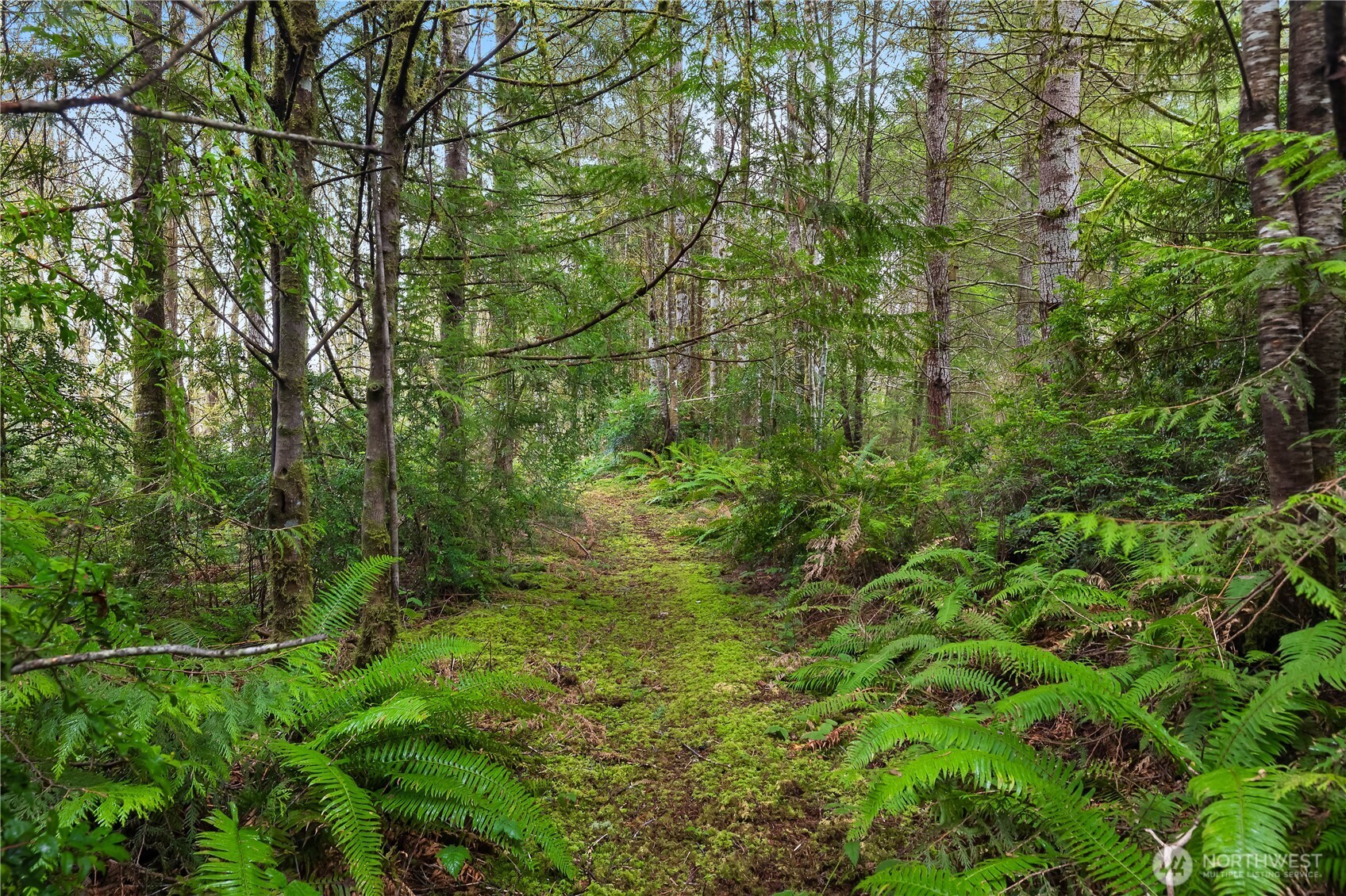 30 SE Mariner Lane , Shelton, WA 98584