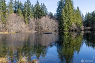 214 Paradise Dr , Ashford, WA 98304 - Photo 33